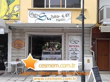 Su Balık ve Et Pişiricisi